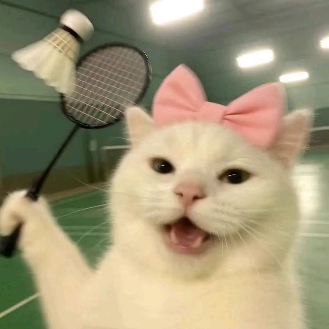 张不慌^O^