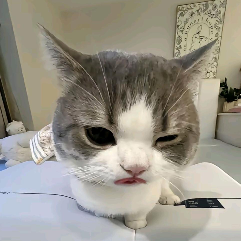 鹿鹿璐