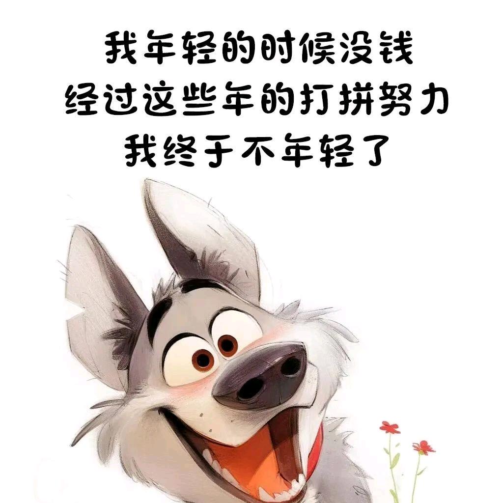 船长🥰夫人