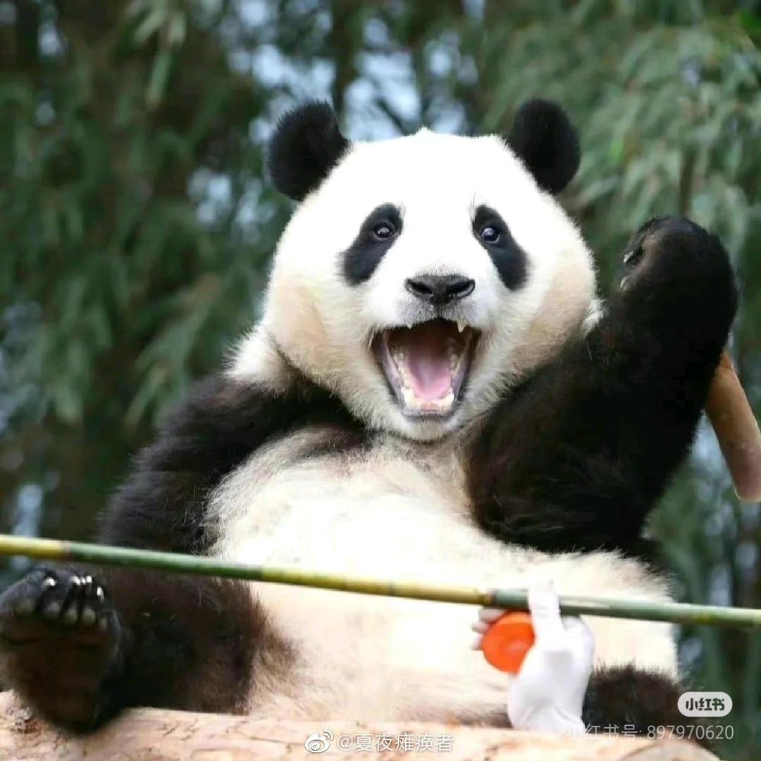 冲呀-乐山油炸串串