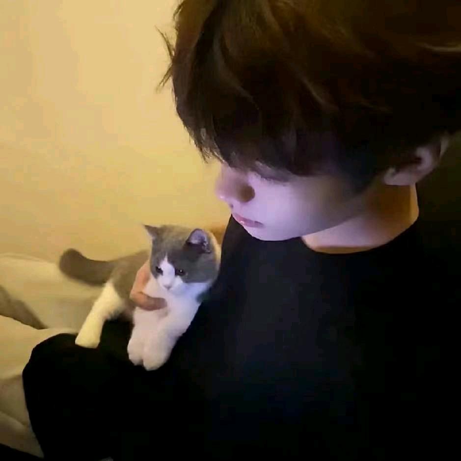 鹤希
