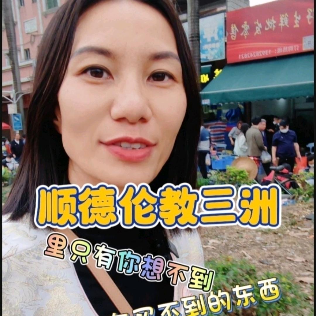 顺德团长