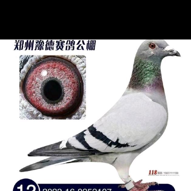 百善孝为先（海）