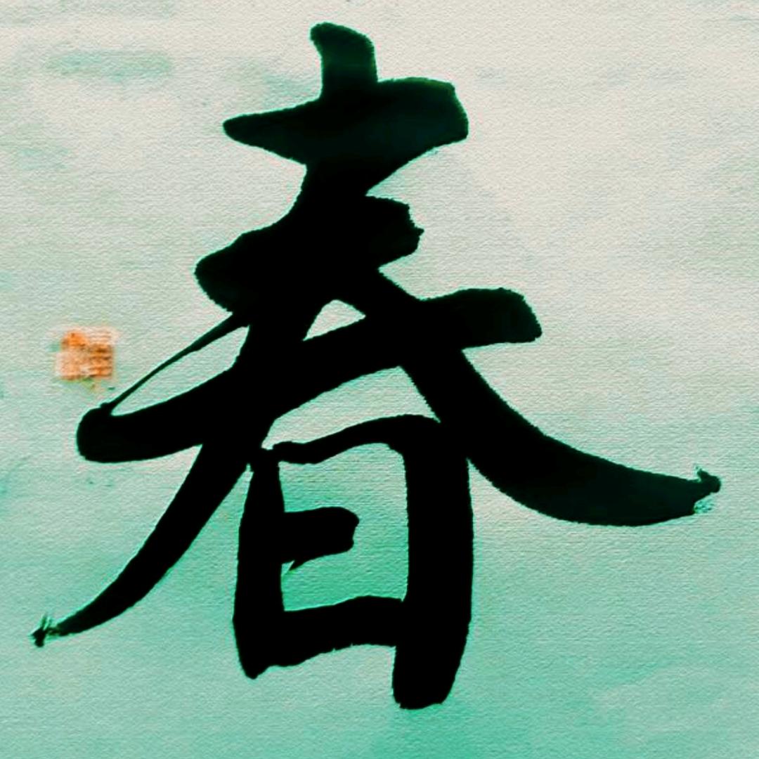 青阳