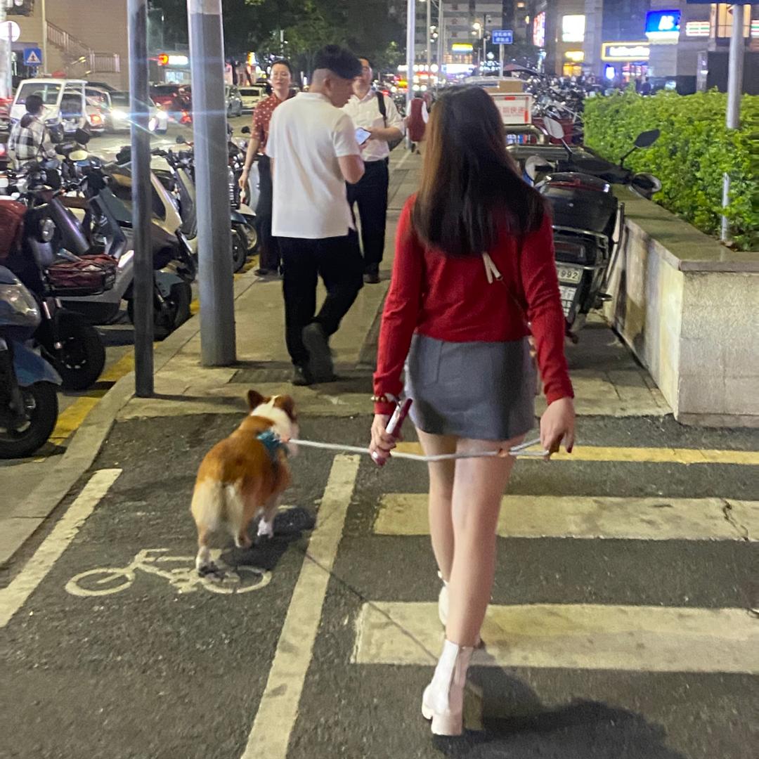 敏儿的朋友圈