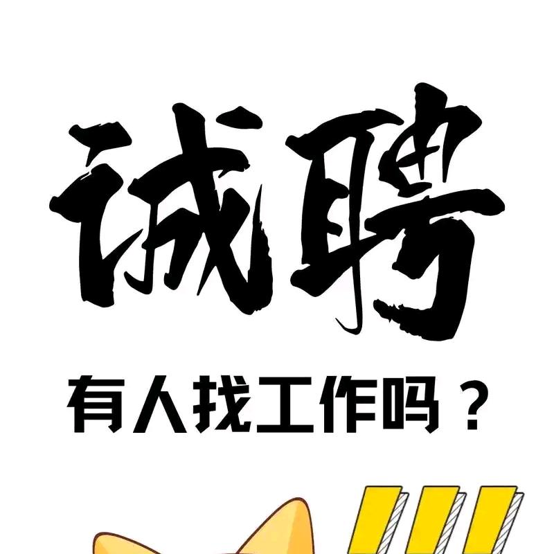 鸿志人力宝总（培训咨询）