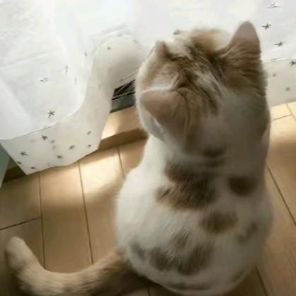 7L.