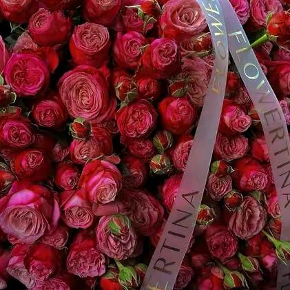 亲爱的热爱的我爱你🍎💞