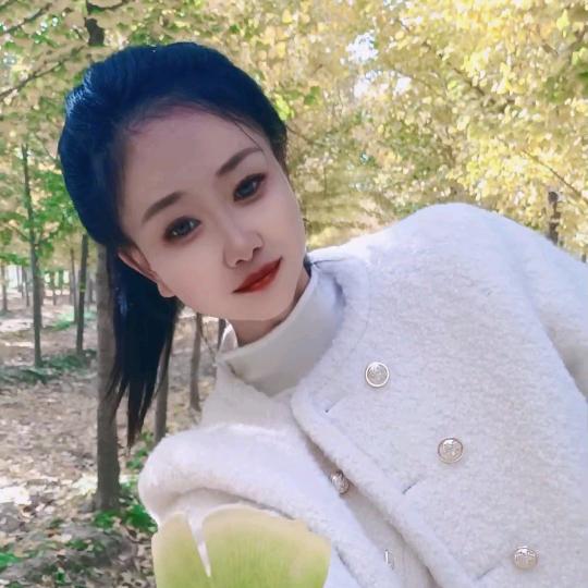 萍安囍樂ʕ•͡-•ʔ