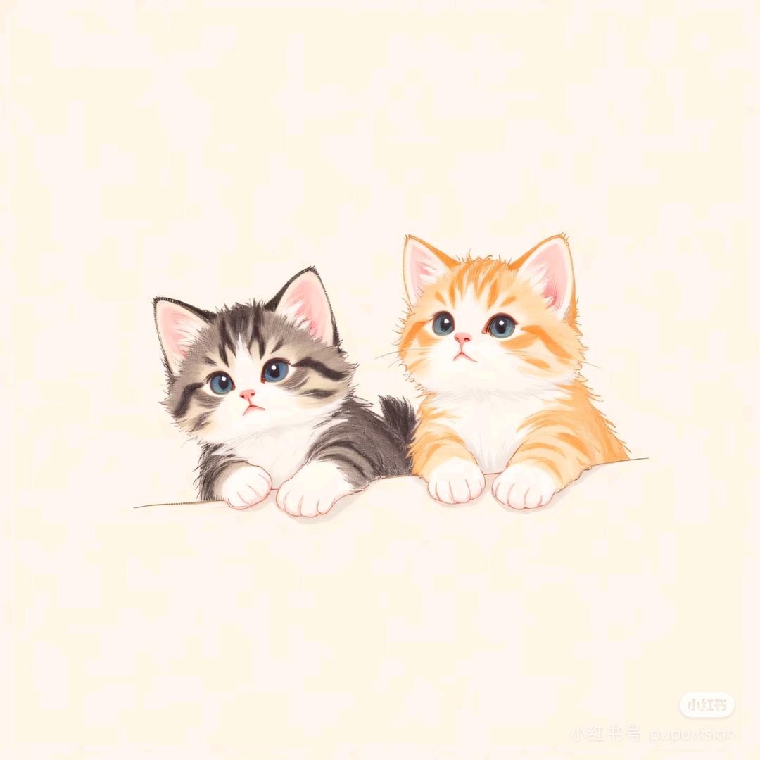 🐈肥胖猫