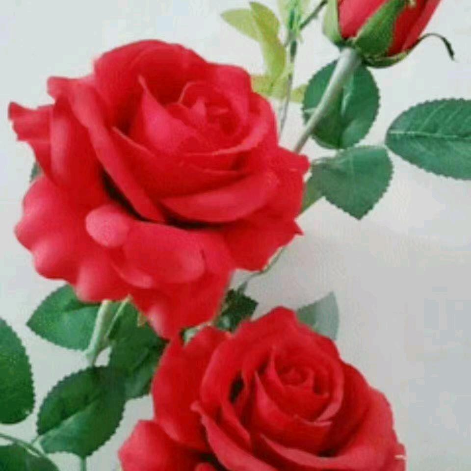 小仙花