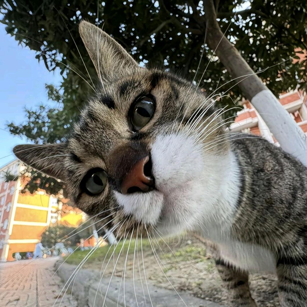 飞奔的蜗牛王子