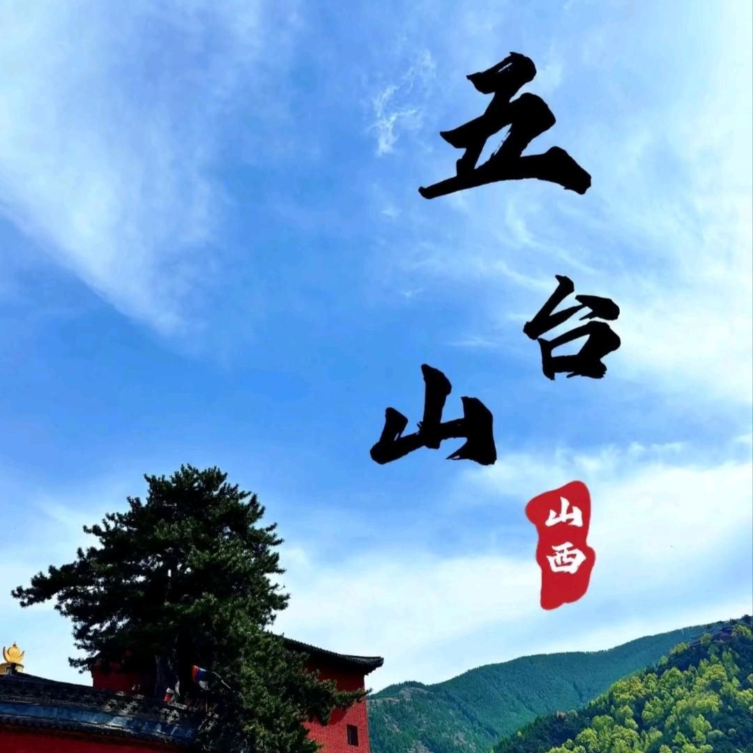 五台山祈福专线（五台山直播）
