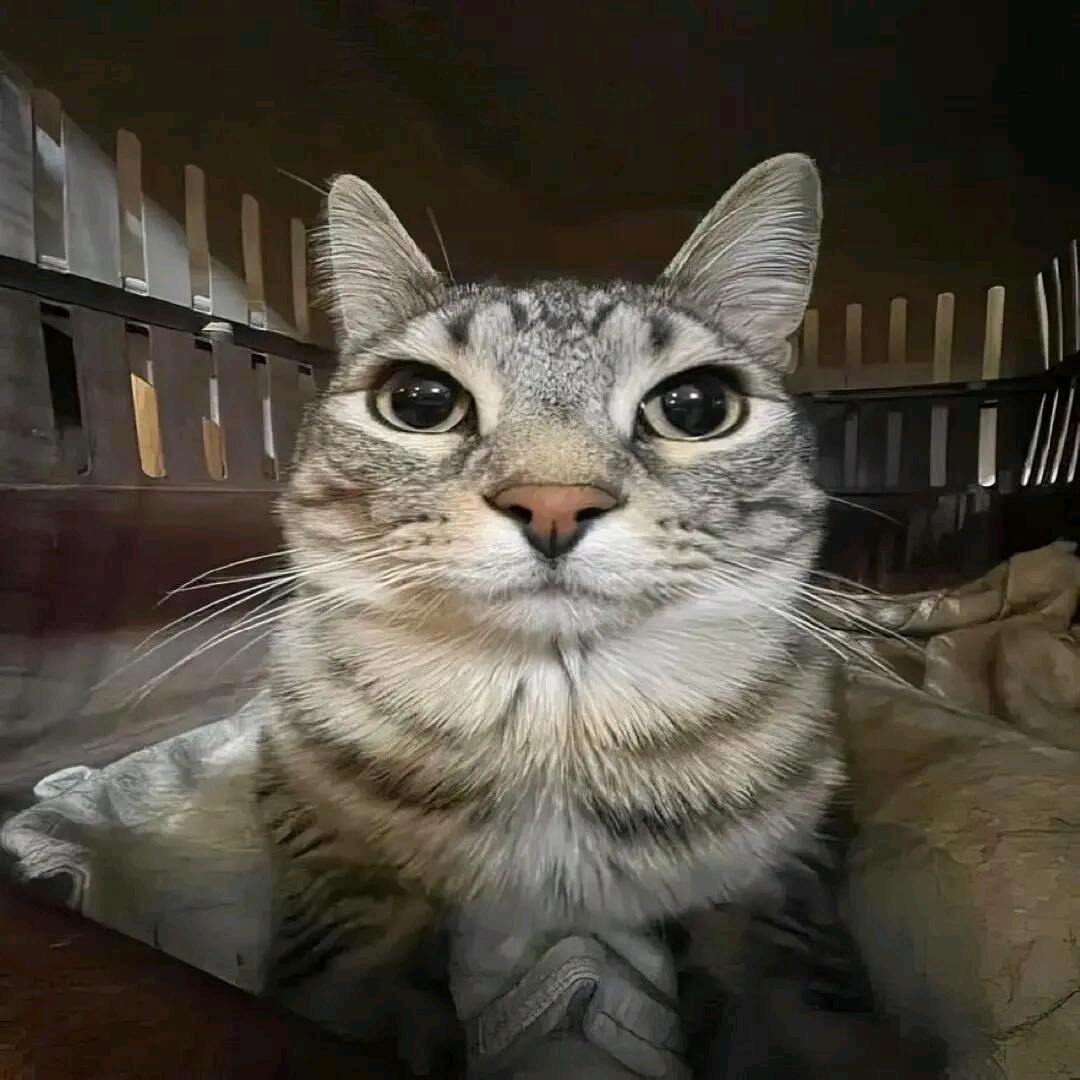 喜欢就坚持下去