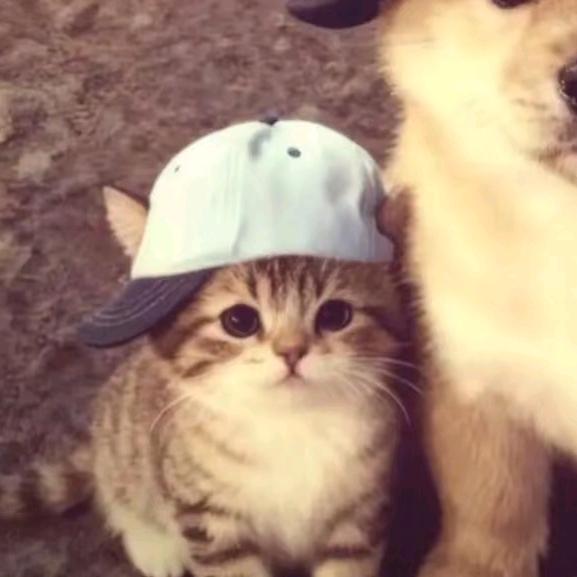 今天不是星期怡