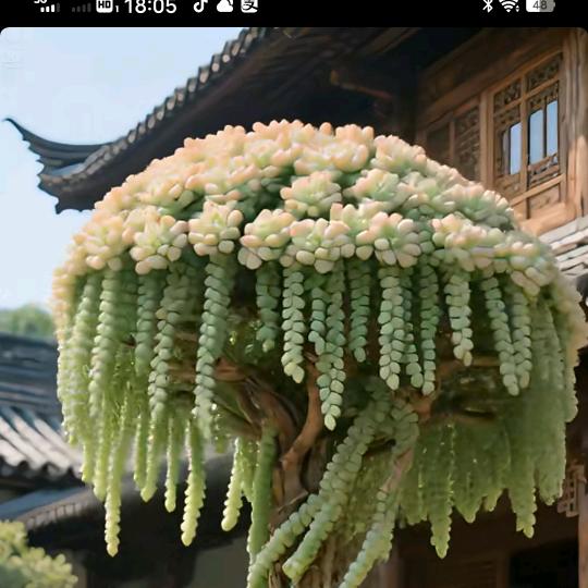 都想有一个疼爱我的人