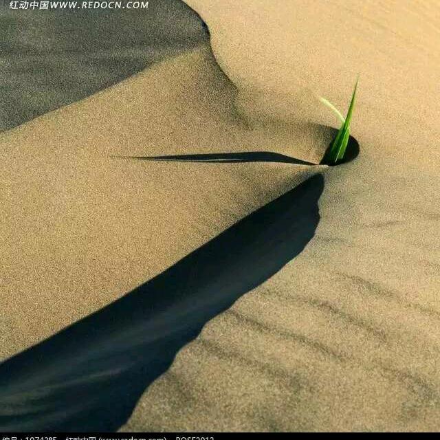 苏瓦凉茶
