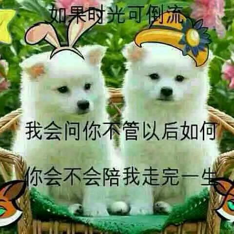 🥀এ᭄乄㥐ꦿ💔ོ࿐ᩚ