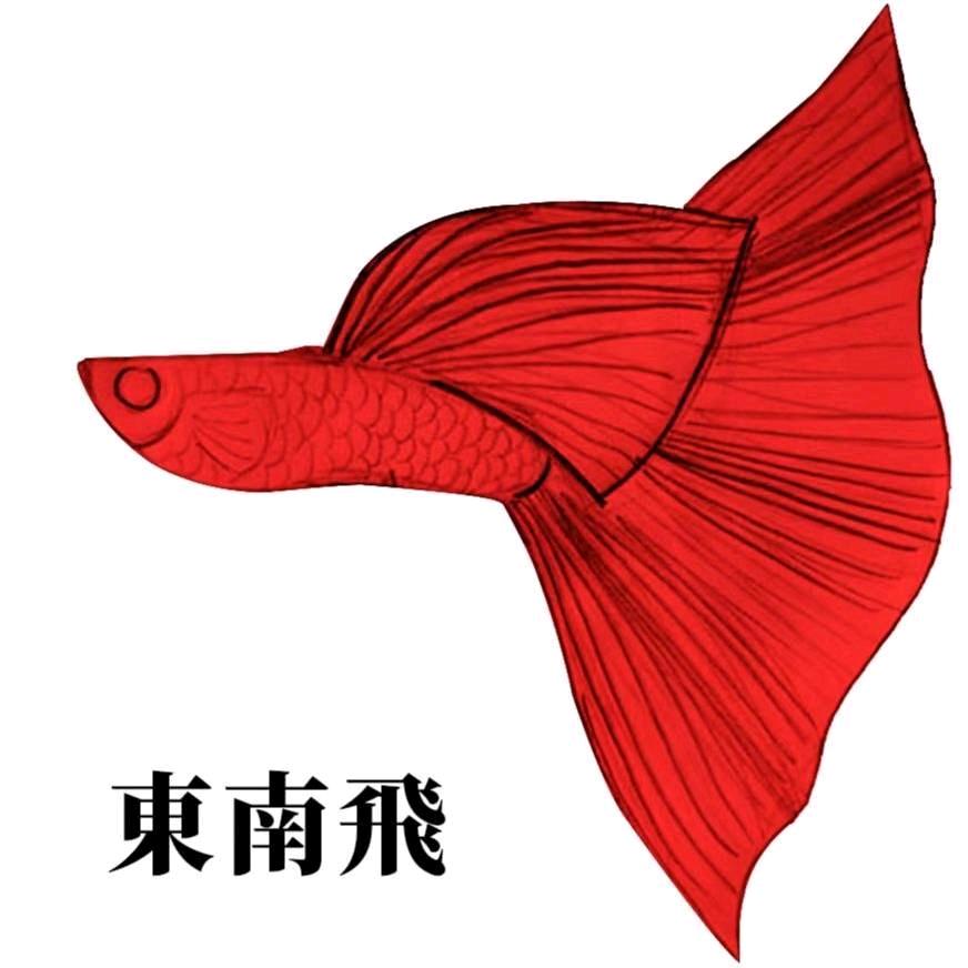 ☞   東南飛孔雀鱼