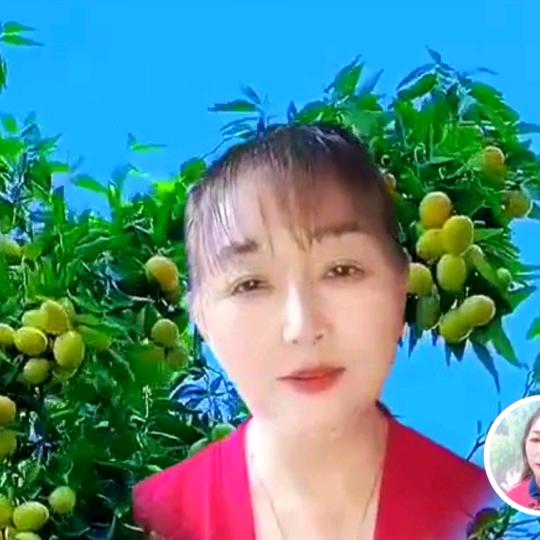 四川李姐