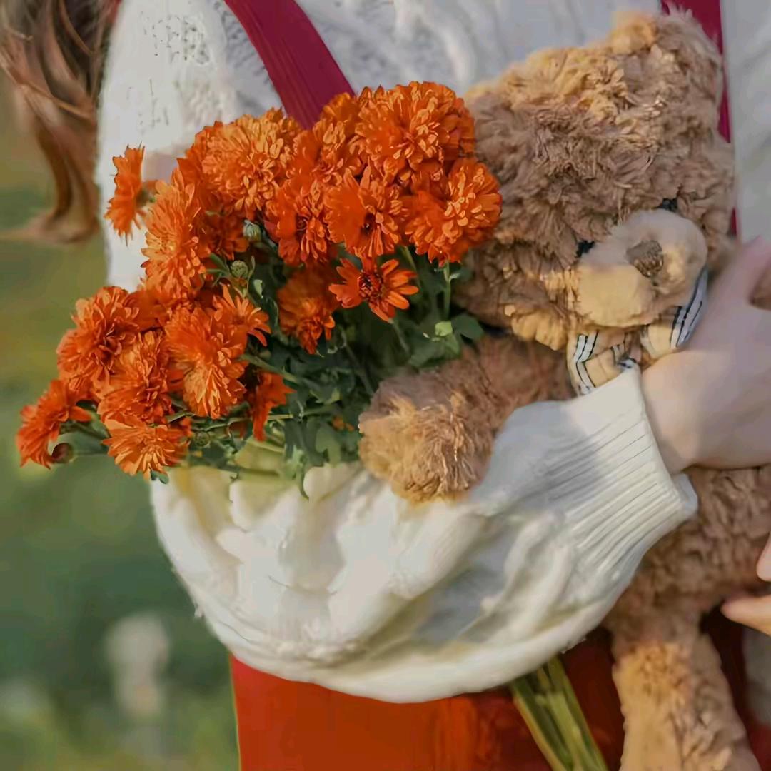 ❣️太子妃❣️