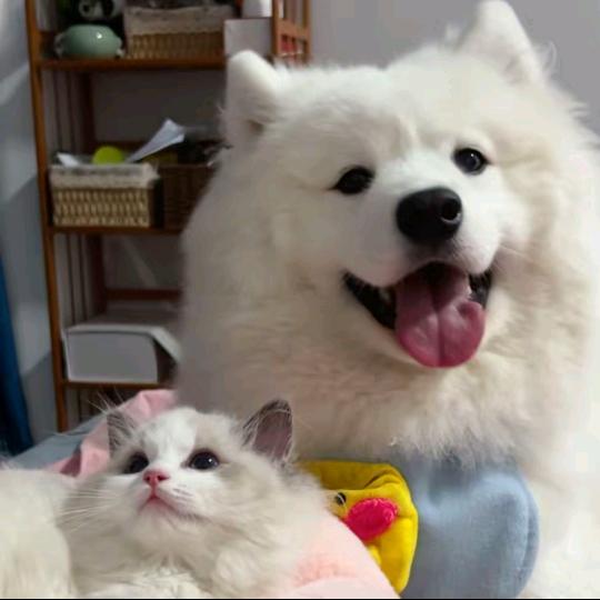 晒个太阳☀.🏸