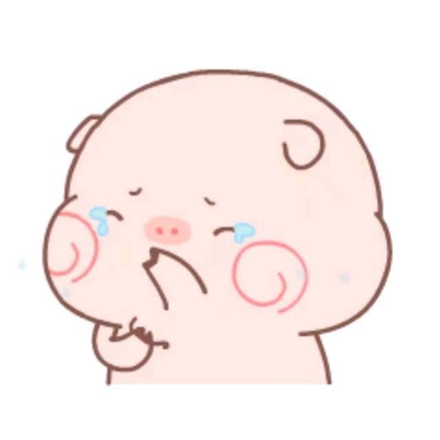 ☁️轻云蔽月☁️