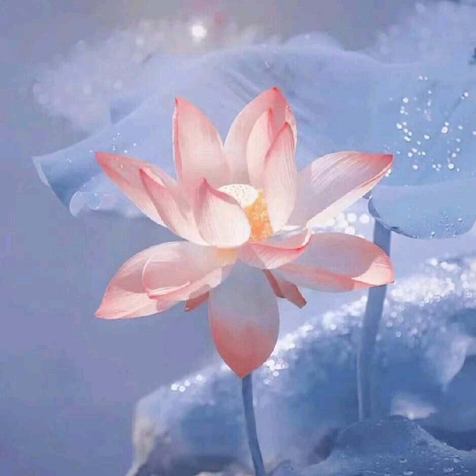 冰冷的心