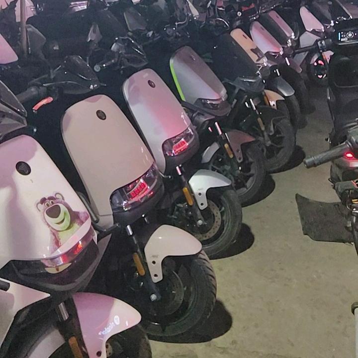 (●♡∀♡)】【杨】