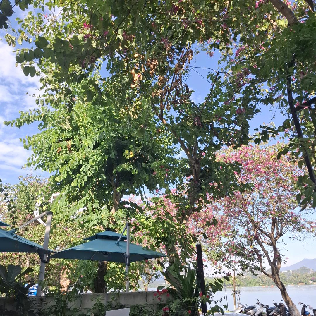 闲来喝茶🍵