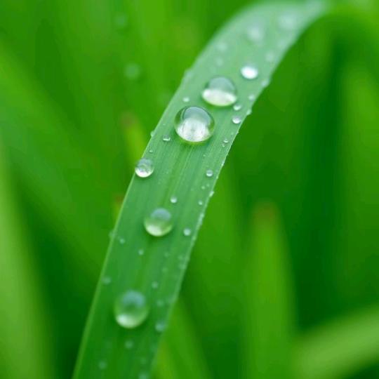 ও🕊🚛上善🛣若水🚛꧔ꦿ࿐้