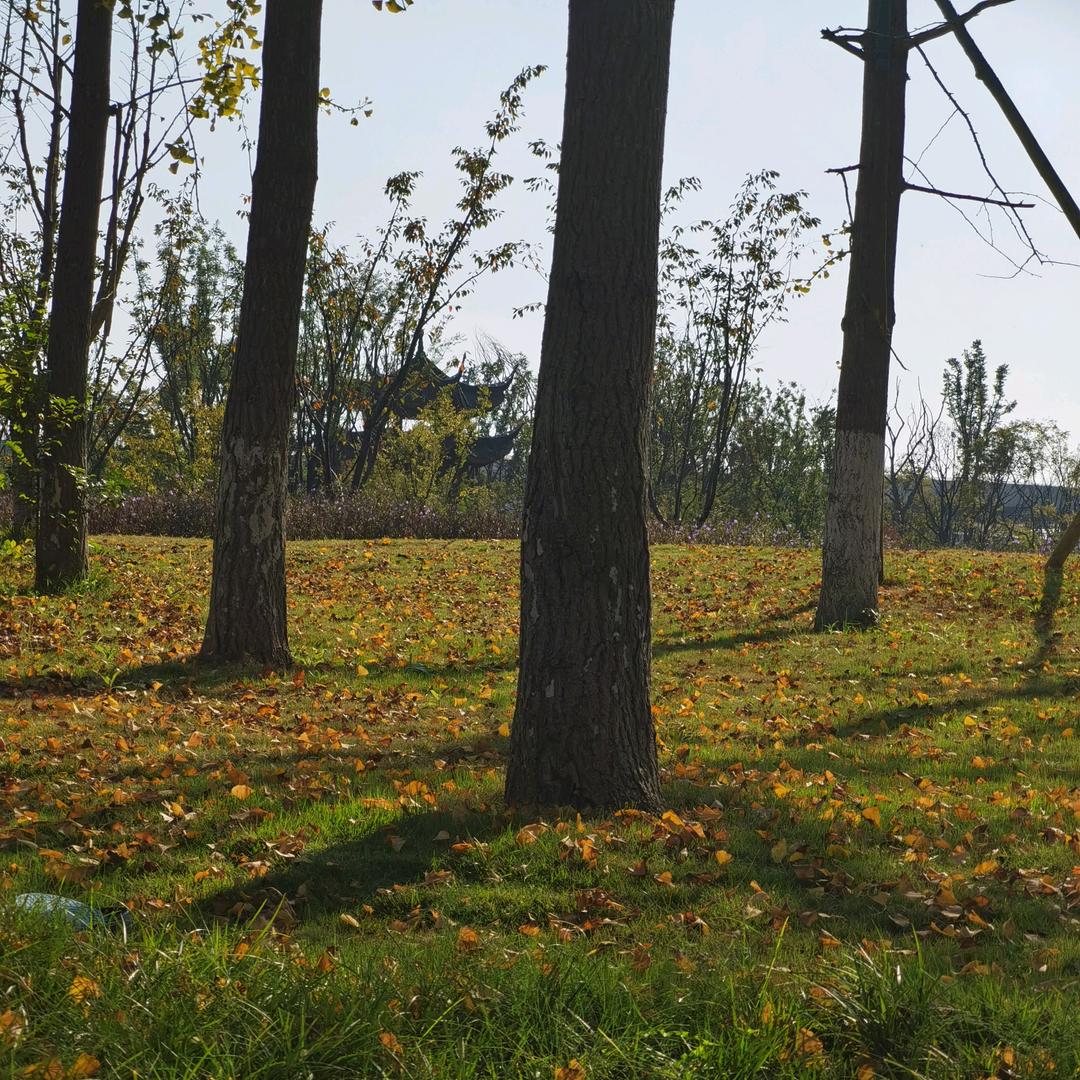 快时代里慢慢前行