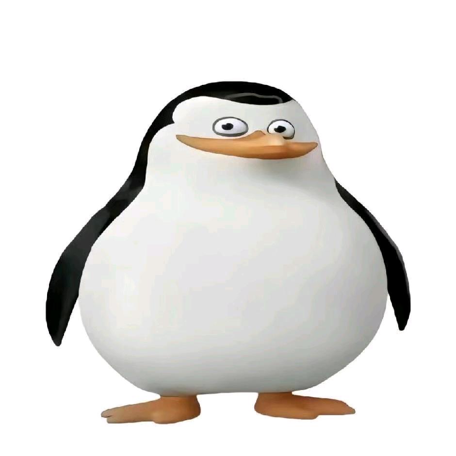 盒子 （暗区突围）