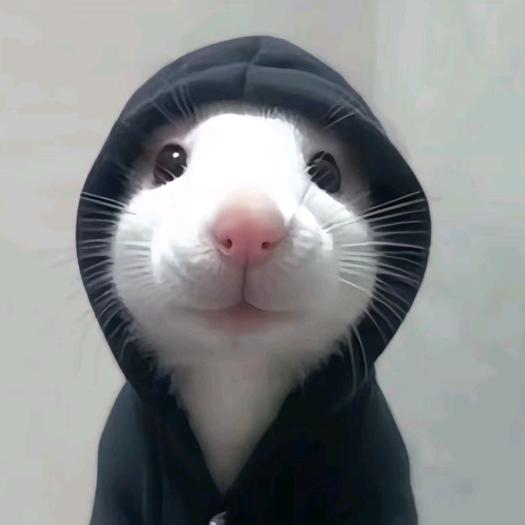 1218