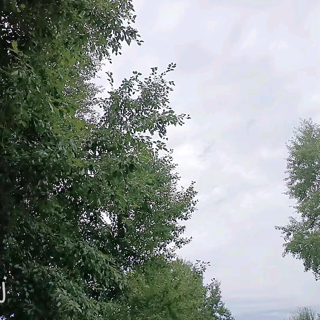 ღ᭄₮ᖇꪊꫀꪶꪮꪜꫀꦿ꧉