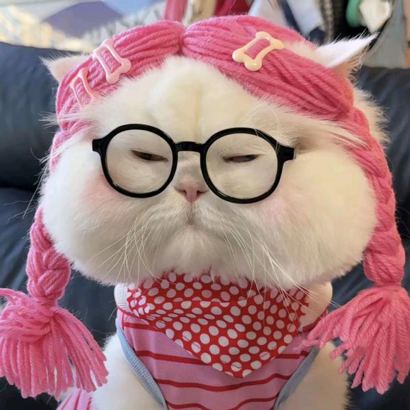 赵静子