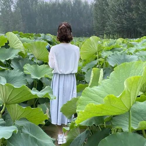 杰浩妈（互关）