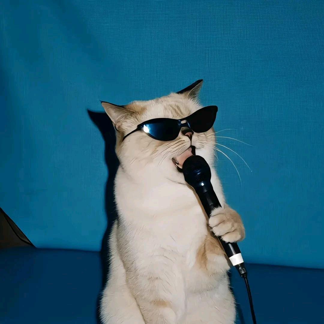 动感光啵✔