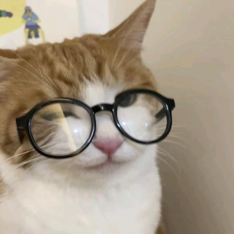苦瓜好吃吗