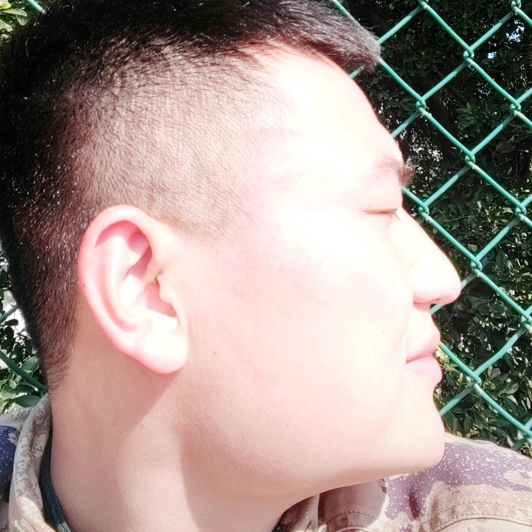 悠然见南山