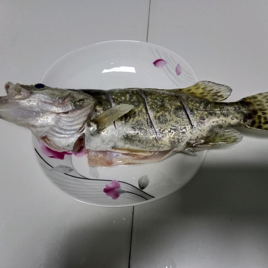 哟西火<野钓冷杀手>