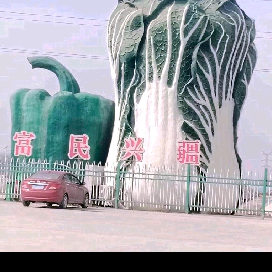 妮亚