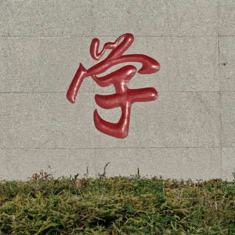 哈喽$