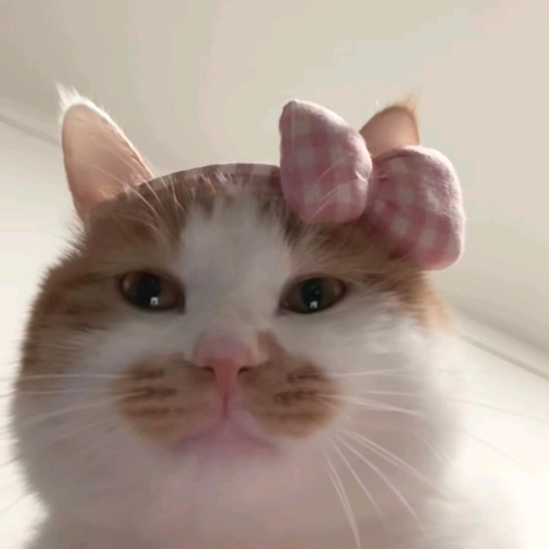 树贵🎠🎠🎠🎠🎠🎠🎠🎠⁶¹