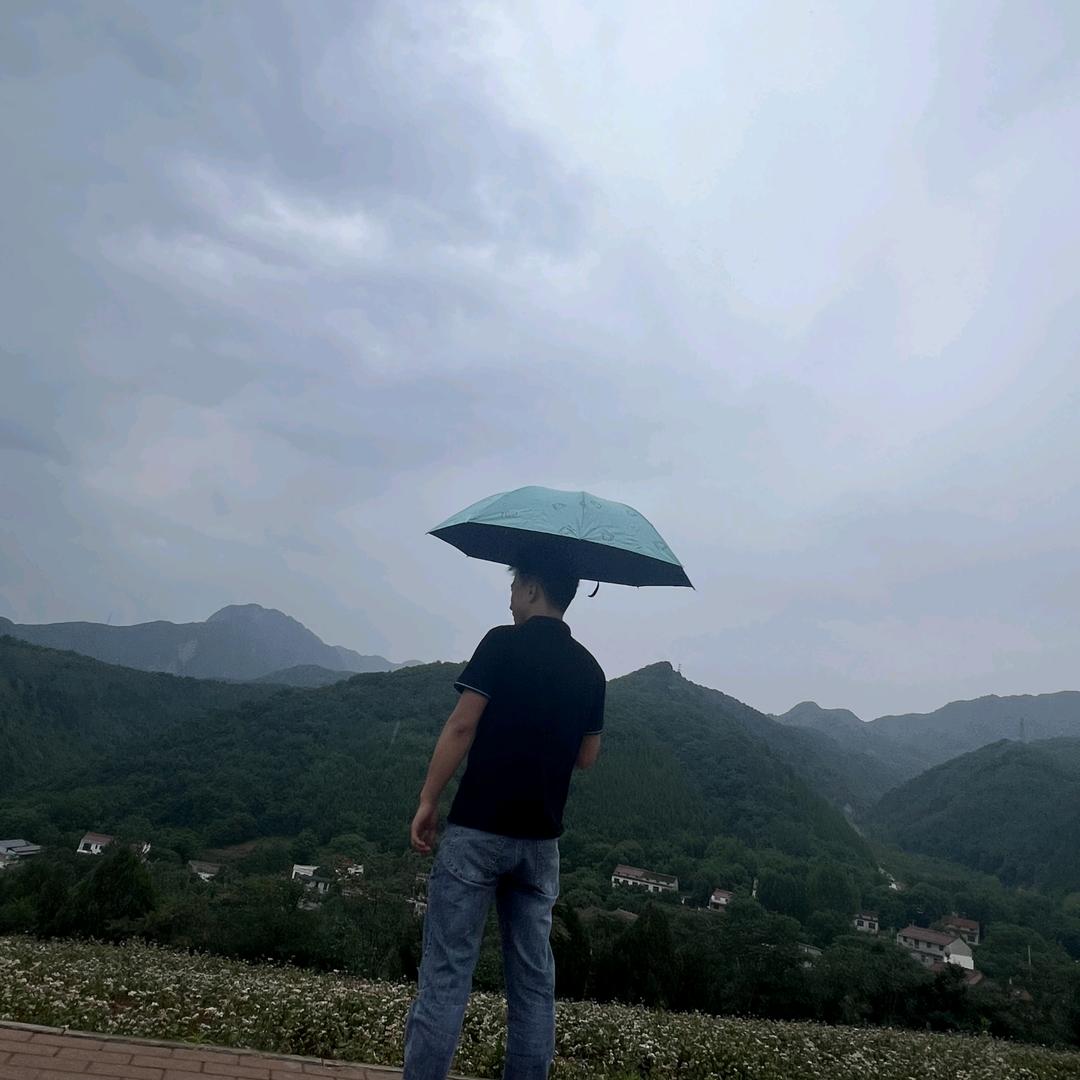 魁梧的小蝌蚪