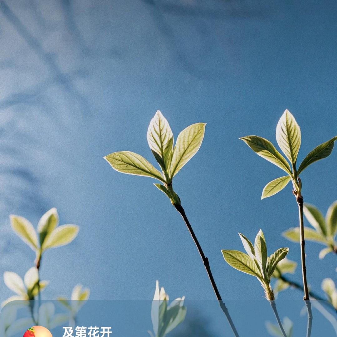 庐山烟雨浙江潮