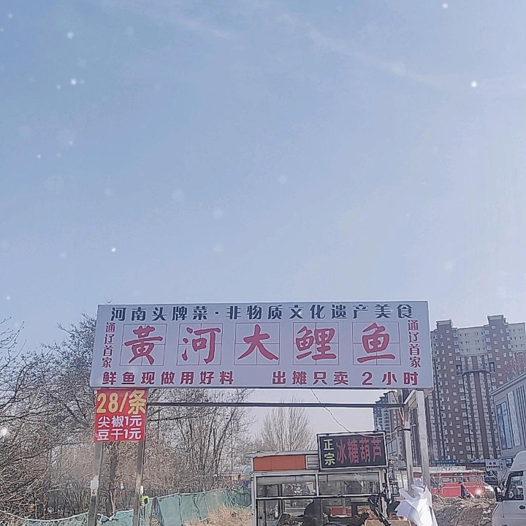 通辽首家 黄河大鲤鱼