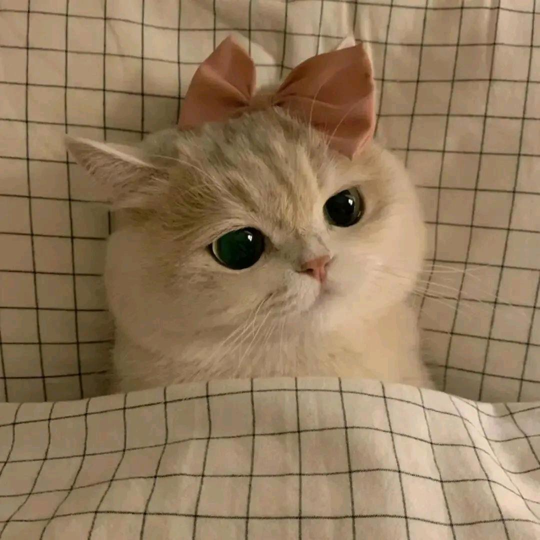 秋水