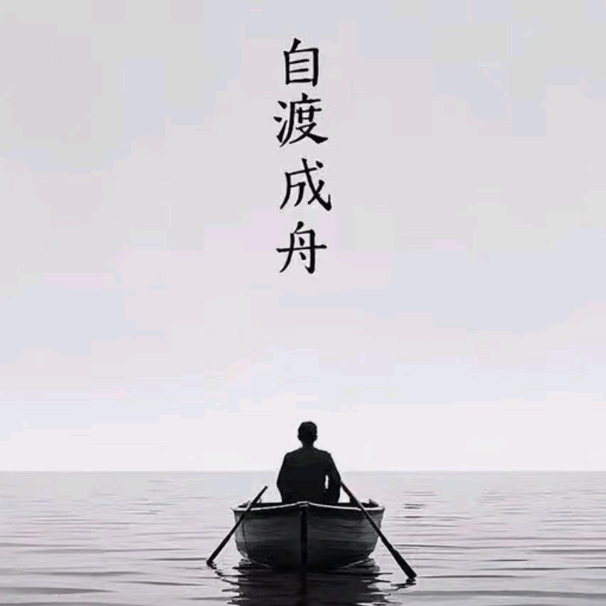 明星bao