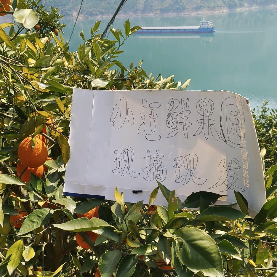 小汪鲜果源